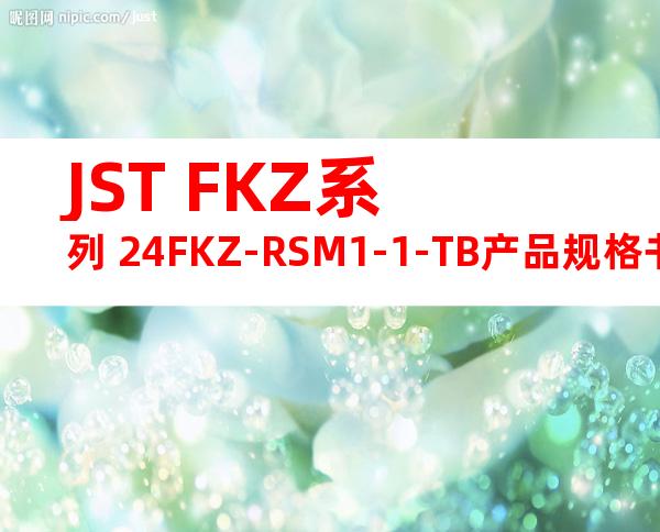 JST FKZ系列 24FKZ-RSM1-1-TB产品规格书